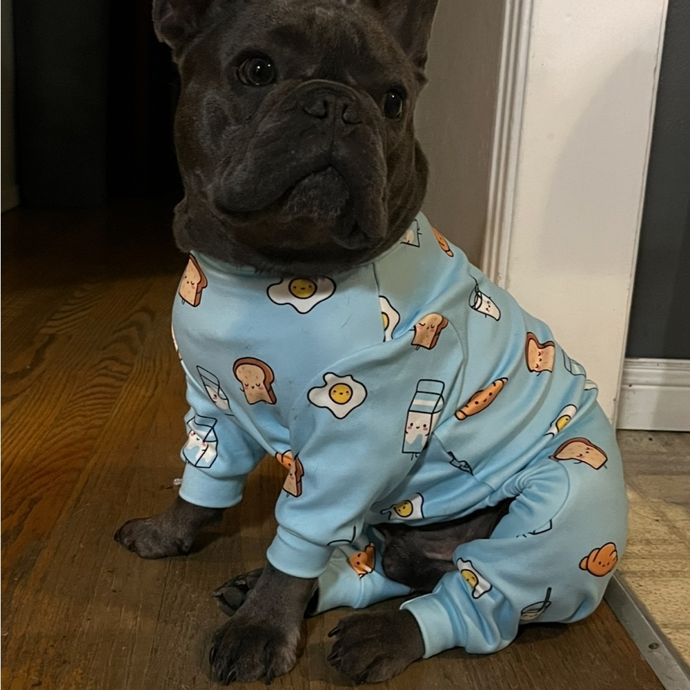 Cute Blue Dog Pajamas with Breakfast Print